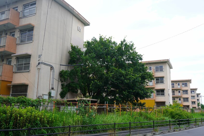 国分一家が住んでいたという東久留米市の団地。今は誰も住んでいないようだった
団地の建物の大半は取り壊され、商業施設などになっていた。