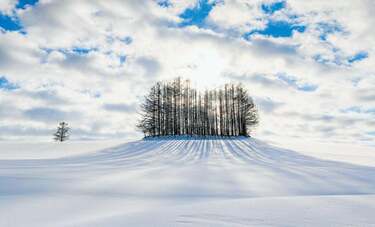 冬しか見られない！北海道の絶景5選！透明感あふれる景色に「シメパフェ」の競演