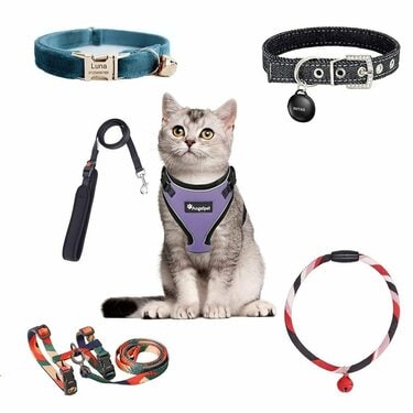 愛猫の首輪はエアタグ付きが人気！Amazonの猫用首輪・リードの売れ筋ランキング