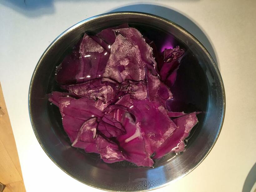 紫キャベツを煮出すなどしてアントシアニン水溶液をつくる