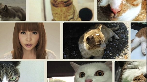 中川翔子「世界一、猫が登場するMVを作りたい！」新曲MV公開