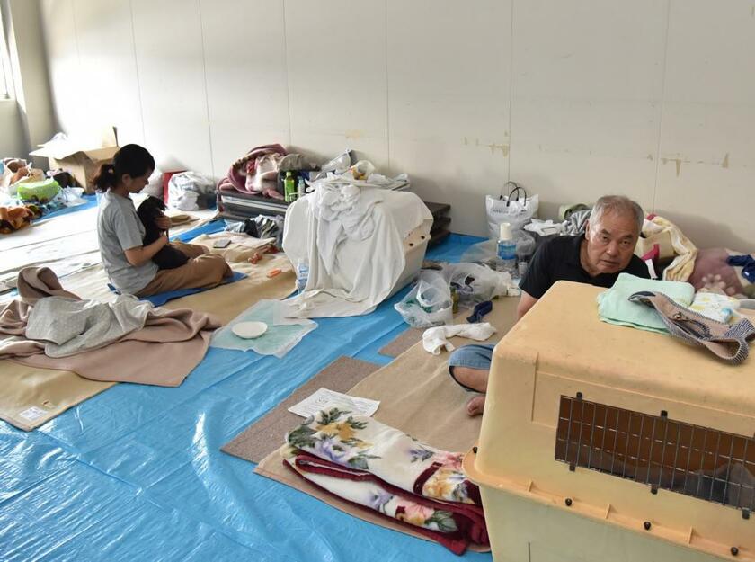 西日本豪雨の際に岡山県総社市が開設したペット同伴避難所の様子