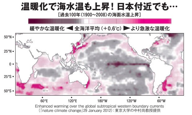 過去１００年の海面水温の上昇を調べたチャート（東京大学の中村尚教授提供）