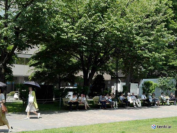 木陰で暑さしのぎ　今日昼頃の大通公園　撮影：日本気象協会北海道支社　児玉晃