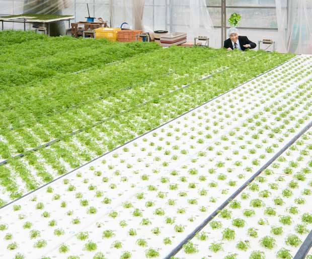 エスビー食品香る緑の力を信じて営業グループ ハーブ営業部 ハーブ供給ユニット マネージャー 伊藤弘敬(51)撮影/写真部・東川哲也