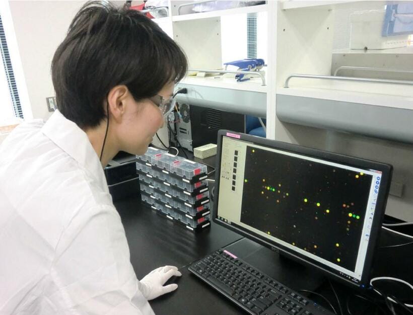 血液中の「マイクロＲＮＡ」の強度を画像で解析している様子。リキッドバイオプシーの一つとして研究が進められている（写真：落谷孝広教授提供）
