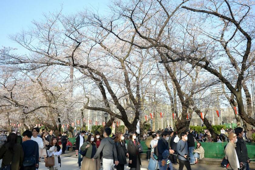 上野恩賜公園（東京都台東区）ではマスク姿の人が目立った＝3月21日、撮影・多田敏男