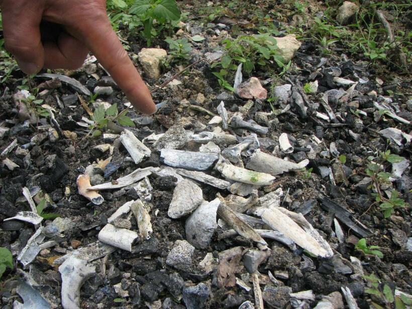 フィリピン・セブ島で、収集した骨を「空援隊」が焼いた後、取り残したとみられる骨の数々。焼いた骨からは、鑑定に資するＤＮＡは抽出できないという（撮影／編集部・大平誠）