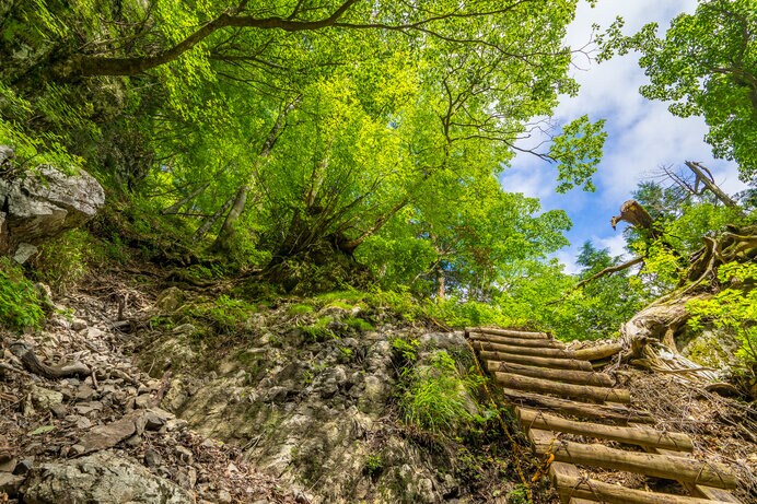 世界遺産になっている大峯奥駈道を歩けます