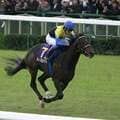 ディープインパクト、サイレンススズカ…「平成の最強馬」はどの馬だ?<牡馬編>