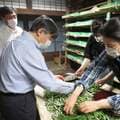 天皇ご一家の「養蚕写真」公開に見た絶妙な広報戦略 「皇室SNS」待ったなし?