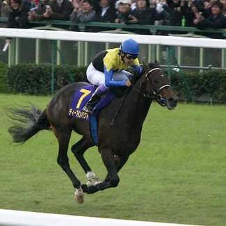 日本競馬史に残る「距離不問」の名馬たち 今じゃありえない“過酷ローテ