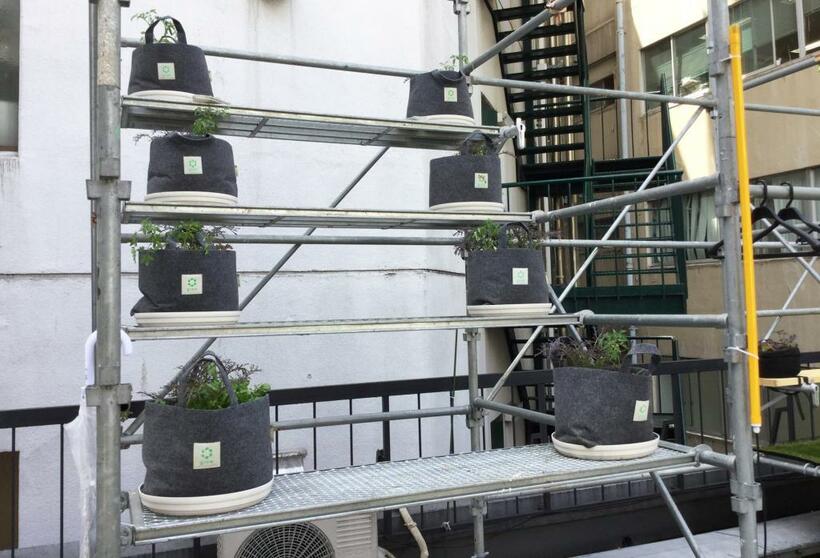 生ごみからできた堆肥に植物の種と土を組み合わせた栽培キット。渋谷のビルの屋上で植物を育てコミュニティーで収穫を楽しむこともできる（渋谷肥料提供