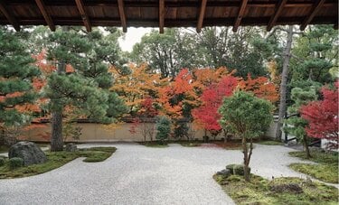 千年の時を超えて美しい！この紅葉を紫式部もきっと眺めた「源氏物語の舞台×紅葉」4選