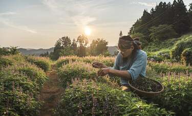 写真で地域おこしに貢献したい。小野悠介が写したハーブ栽培の「仙人」