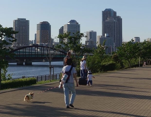 東京・豊洲の運河や海沿いの公園を小型犬といっしょに散歩する人たち（撮影／羽根田真智）