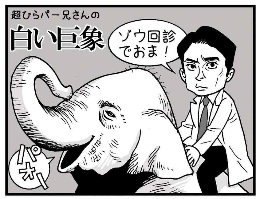 イラスト/カトリーヌあやこ