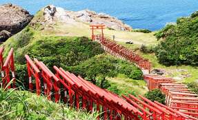 三柱鳥居に呪いの鳥居まで…　奥深き鳥居の世界