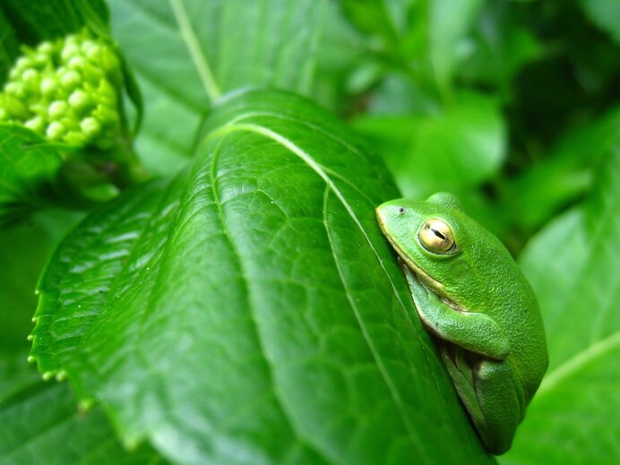 人間も動物も、この時季のちょっとした眠りはとても心地好さそうですね