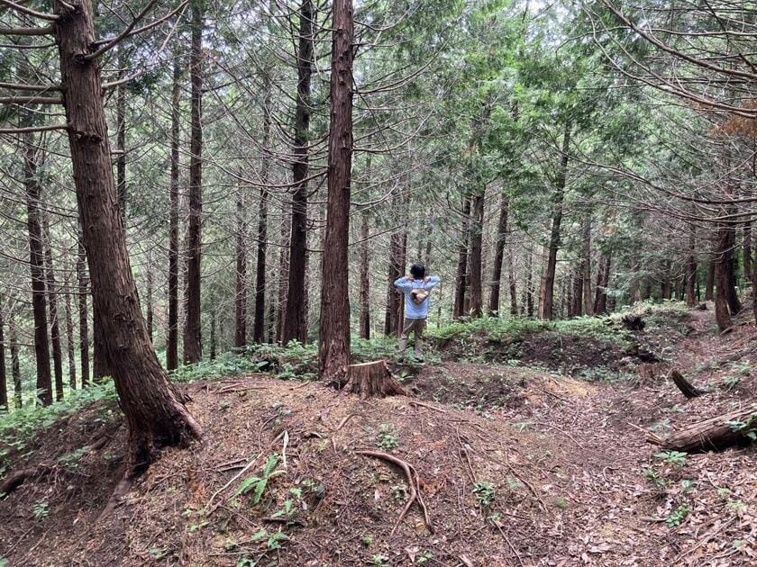 大葉沢城跡。山の上から下まで走る竪堀が多く残り、城好きには有名（写真　栗原さん提供）