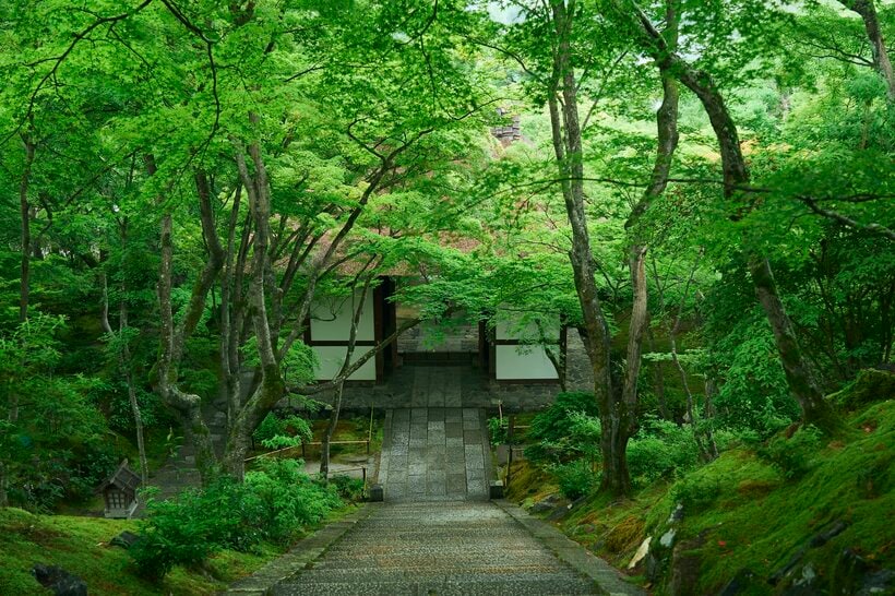 紅葉も人気だが、生き生きとした新緑に包まれるこの時期は特におすすめ。山寺のため晴れた日には京都市街を一望できる　photo JR東海提供