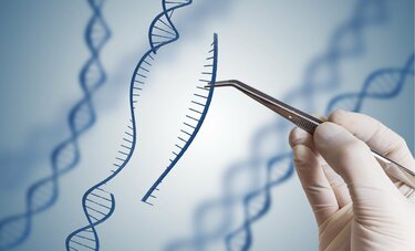 「科学による人類滅亡」はSFではない　遺伝子改変によるデザイナーベビーの量産リスク