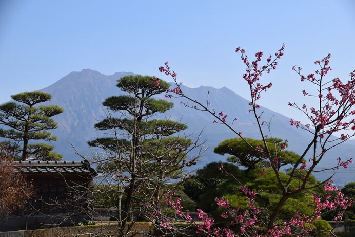 仙巌園から見る桜島