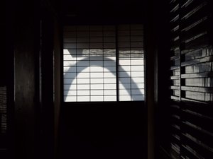 藤森さんが設計した京都・徳正寺の茶室「矩庵」。地面から上げ、樹上に造られている。15時ごろ、庭のアーチの影が障子に映ったところをシャッターを切った