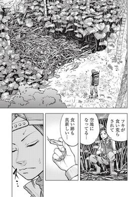 漫画】クマ撃ちの女／著者・安島薮太【無料1～3話】 | AERA
