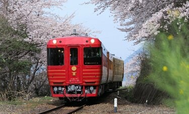 「あの感動は言い表せない」車窓に広がる春のカーテンも 鉄道写真家が選ぶ観光列車3つ