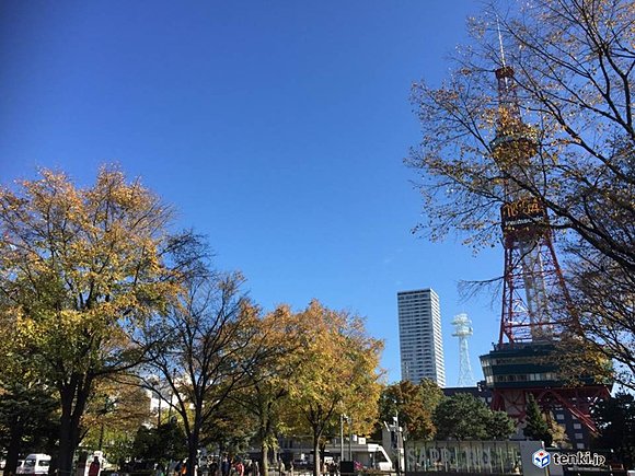 今日（２１日）昼前の大通り公園　撮影：日本気象協会北海道支社　杉山友衣可
