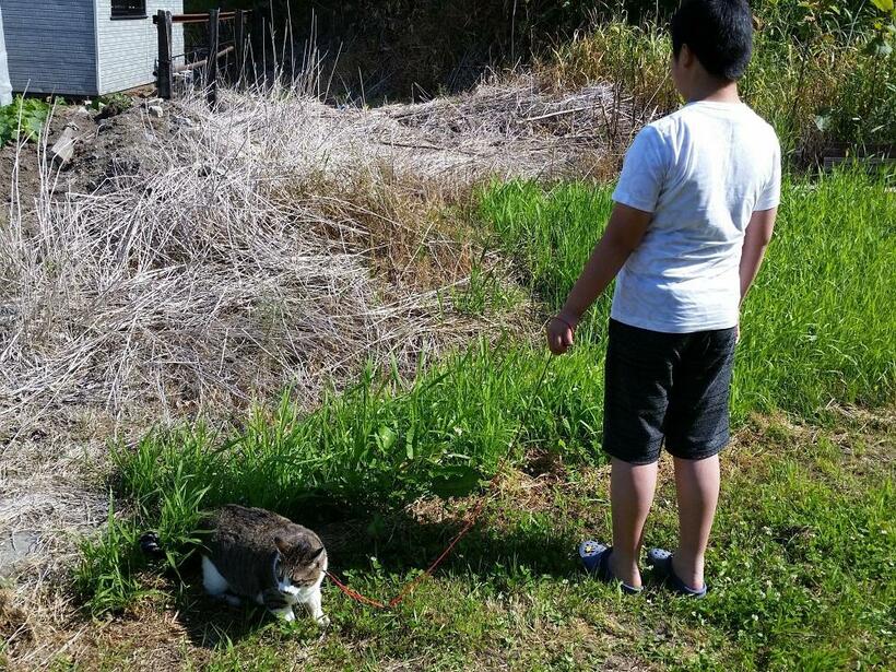 息子と散歩をしたことも（提供）