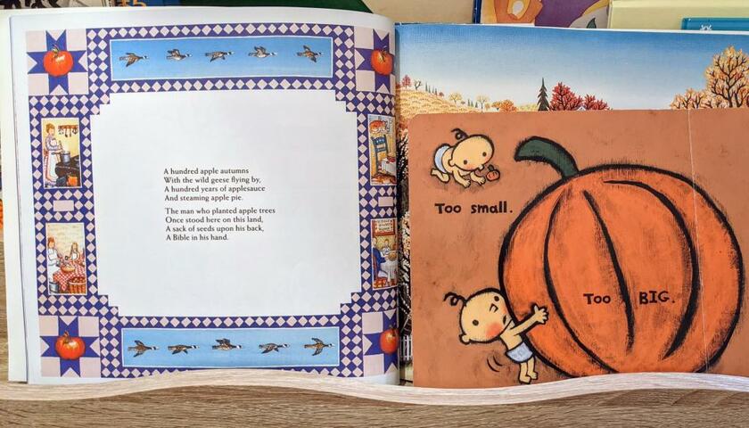 5歳半の長女が好む本（左）と2歳半の長男が好む本（右）。こんなに文字量が違う（写真／著者提供）