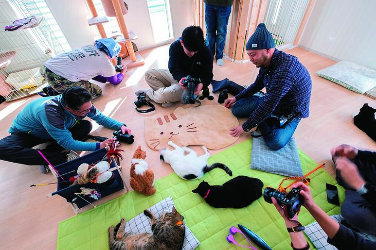 写真・図版(9枚目)| ネコ撮影でやっていいこと、悪いこと GWの厳選スポットとカメラマンの心得