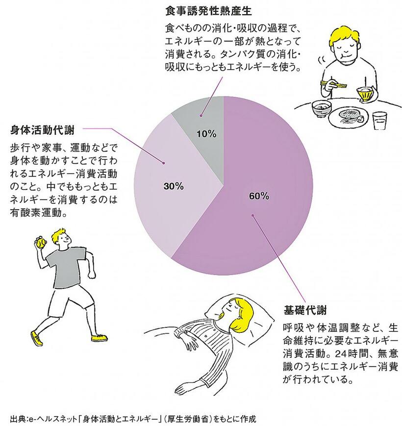 イラスト／秋葉あきこ