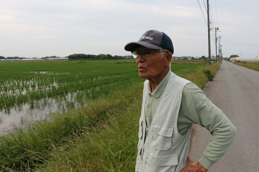 「今年は6月下旬から真夏。高温障害が心配」と話す、千葉県匝瑳（そうさ）市・栄営農組合の伊藤秀雄顧問＝米倉昭仁撮影