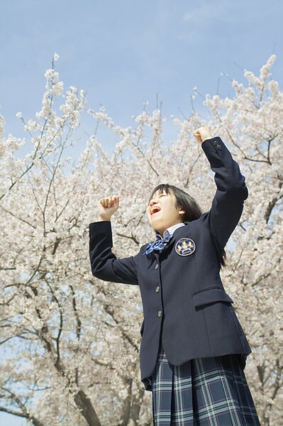 ひょっとしたら、「咲き誇る桜の木をバックに入学式」が見られるのも今のうち？