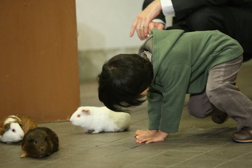 上野動物園の「子ども動物園」で、しゃがみこんでモルモットの顔をのぞき込む悠仁さま=2009年、東京都、代表撮影