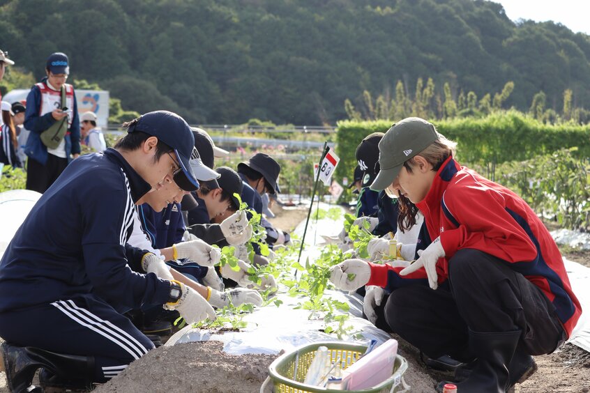 龍谷大学農学部には、生産から流通・消費・再生まで学ぶ「食の循環実習」がある。学生は農場で、米や野菜を作る。農場のデータ分析もする(写真:龍谷大学提供)