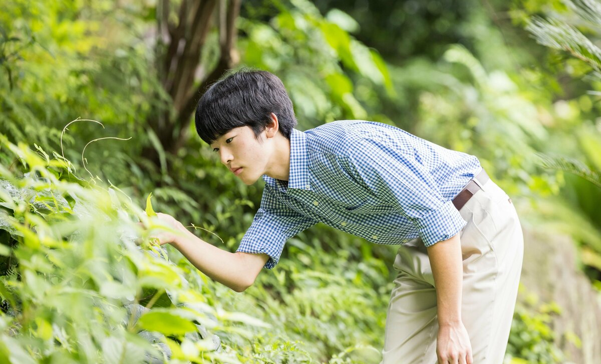 悠仁さま筑波大合格〉生物学はロイヤルの教養であり「帝王学」だった 悠仁さまと昭和天皇 少年時代のセミやトンボ、チョウの「昆虫標本」に共通点 |  AERA dot. (アエラドット)