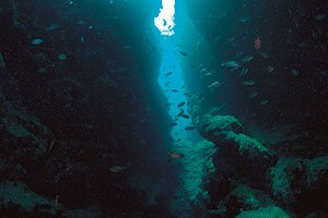 石垣島の近海、水深7～8メートルで撮影。水面からの光を生かして、群れる魚たちと地形がダイナミックに写しだされている