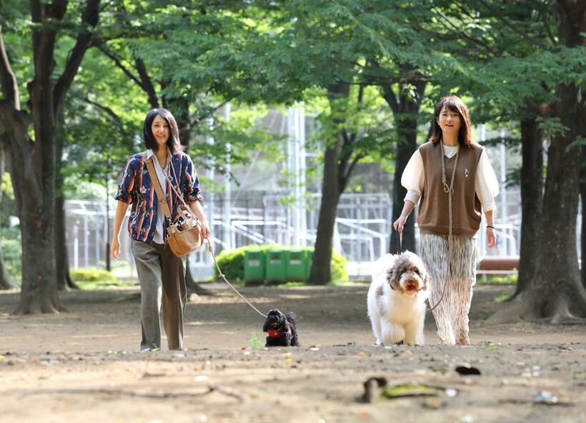 愛犬と過ごすのは至福の時。一緒に暮らす妹の紗羽は犬のトレーナー
で、２匹の愛犬と公園を散歩したり、旅をしたりするのが楽しい。犬の
話になると止まらず、「私のかわいい子どもたちです」と母の顔に（ｐｈｏｔｏ　写真映像部・東川哲也）