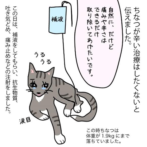 無理はさせたくない、でも助けたい……(提供)