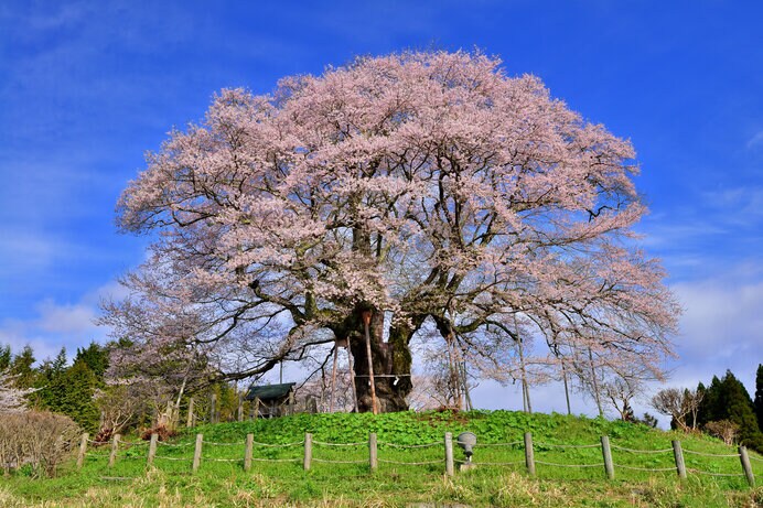 ※写真はイメージです