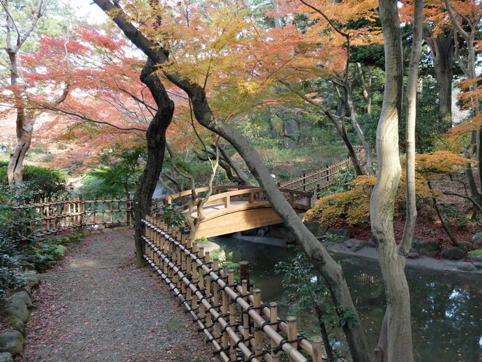 東京都庭園美術館　日本庭園