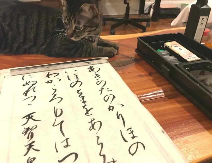 オンライン書道教室に乱入(提供)