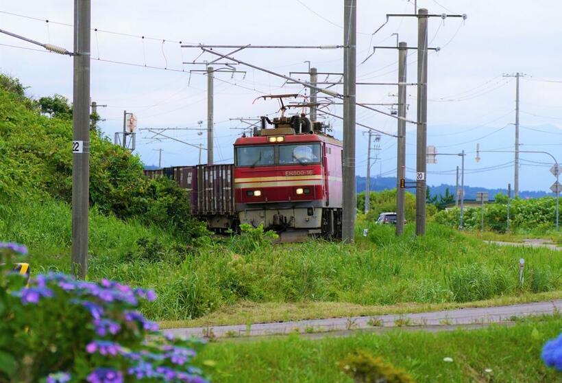 道南地方の鉄路は貨物列車が走る貨物の大動脈でもある＝北海道木古内町（photo　堀篭俊材）