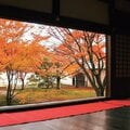 秋の京都で人混みを避けて美しい紅葉を愛でるには? 最強ナビゲーターが教える「穴場」