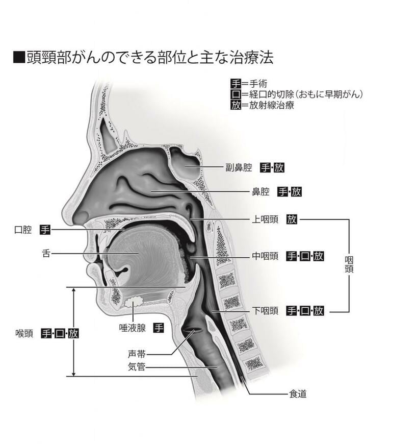 （イラスト／今崎和広）