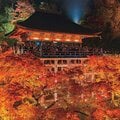 「秋の京都」最強ナビゲーターが教える紅葉名所4大スポットとは